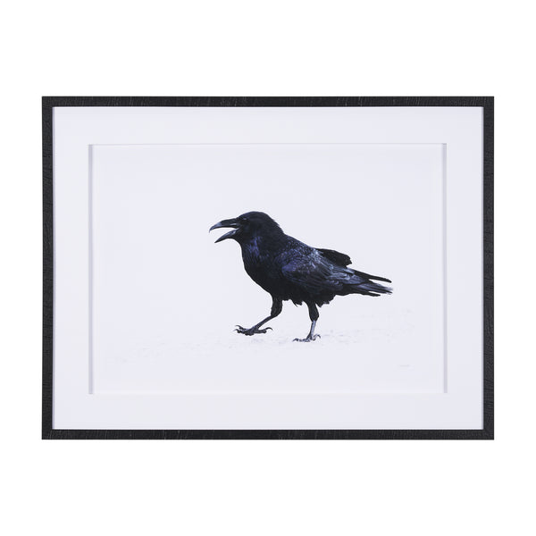 Raven Beauty