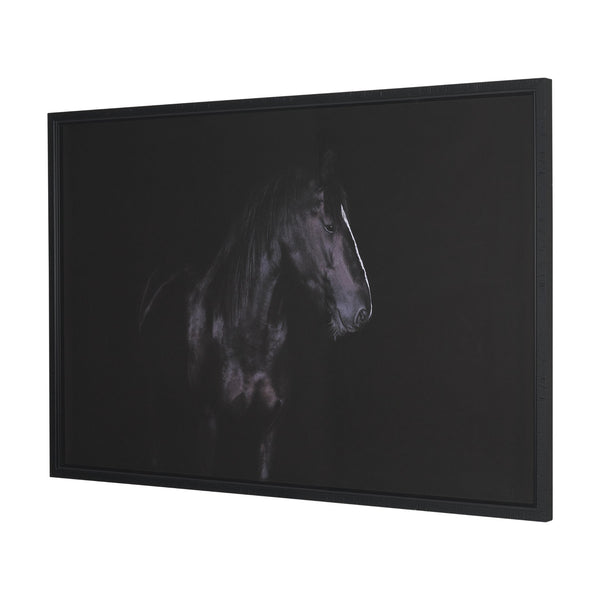 Majestic Midnight Framed Print