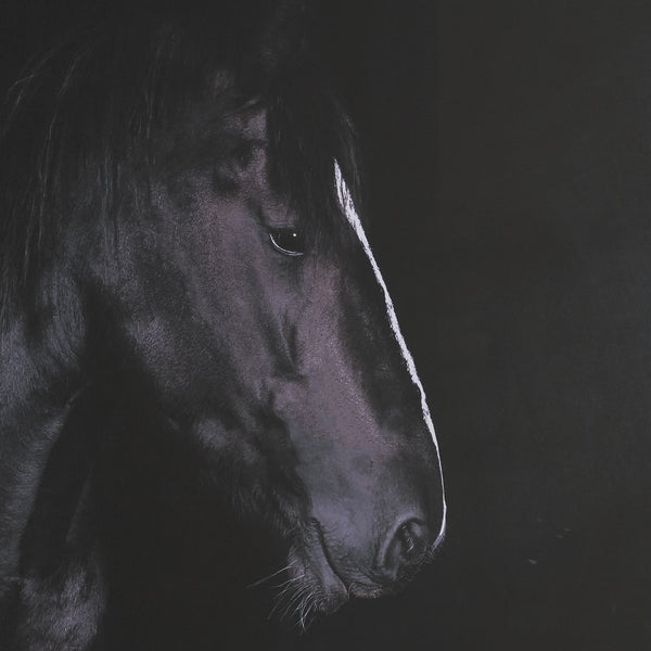 Majestic Midnight Framed Print
