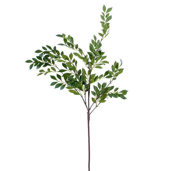 Jasmine Leaf Spray