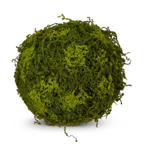 Moss Ball - 12"