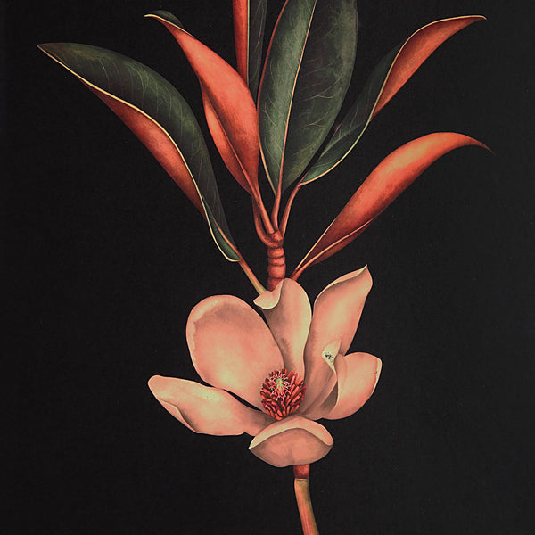 Wallflower - Framed Art