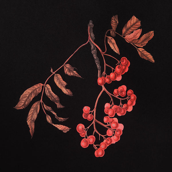 Wallflower - Framed Art