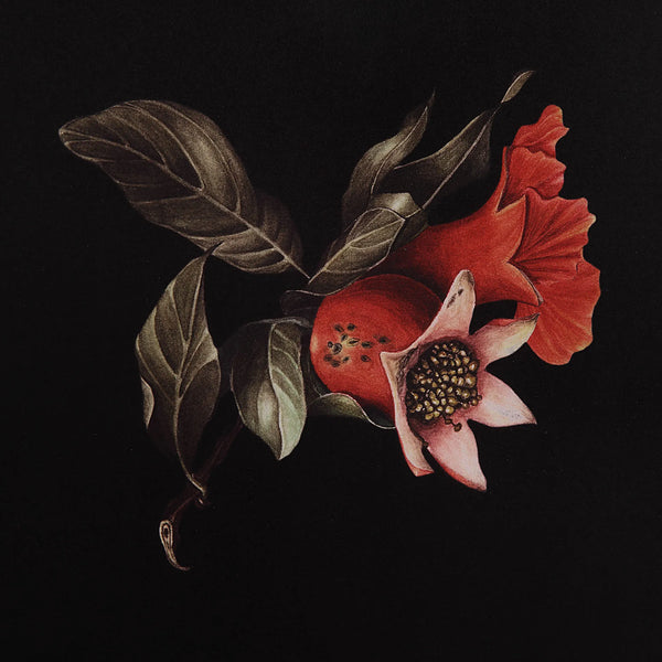 Wallflower - Framed Art