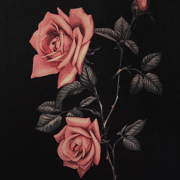 Wallflower - Framed Art