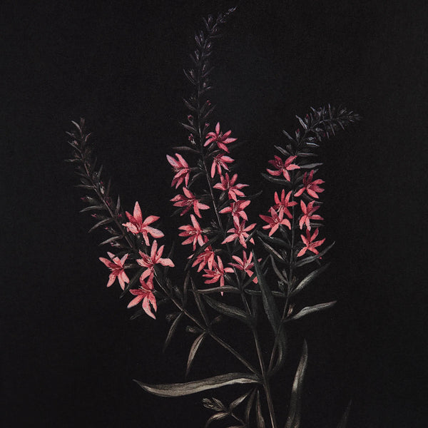 Wallflower - Framed Art