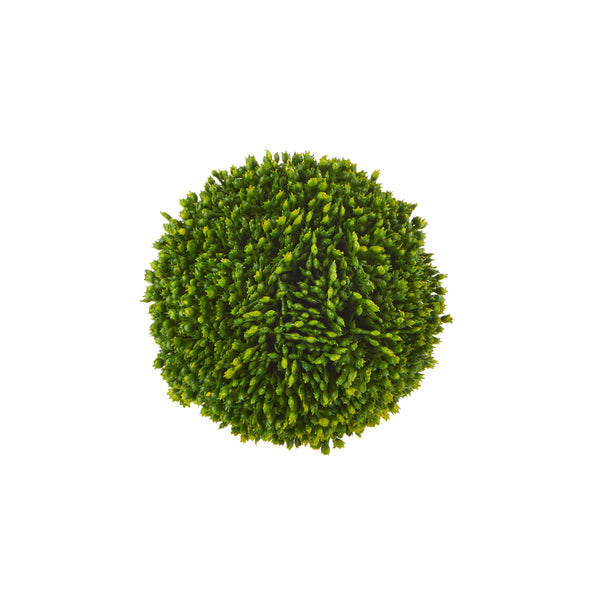 Sedum Ball - 4"