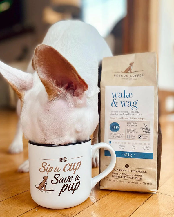 Wake & Wag | Light Roast | 1lb Bag | Organic Coffee