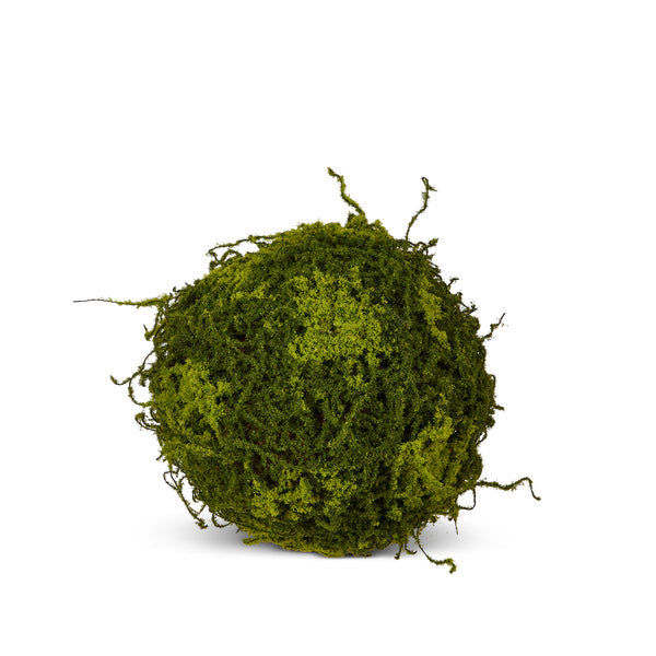 10" Moss Ball