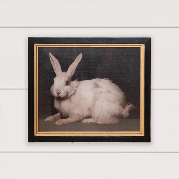 Framed Print - Handsome Rabbit