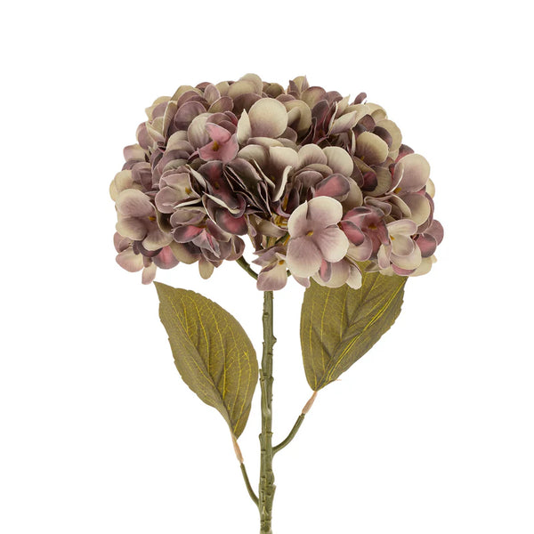 Faded Hydrangea Stem - Purple