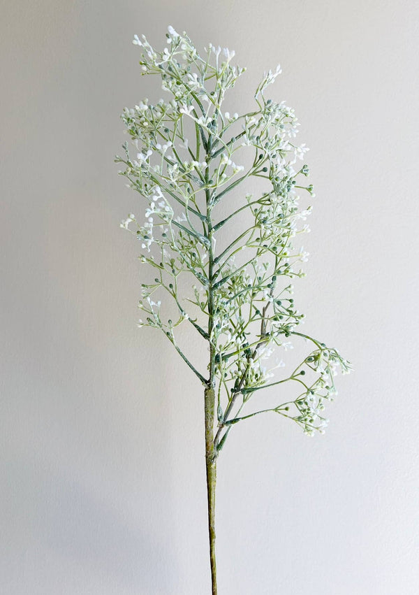 Frosted Seeded Stems