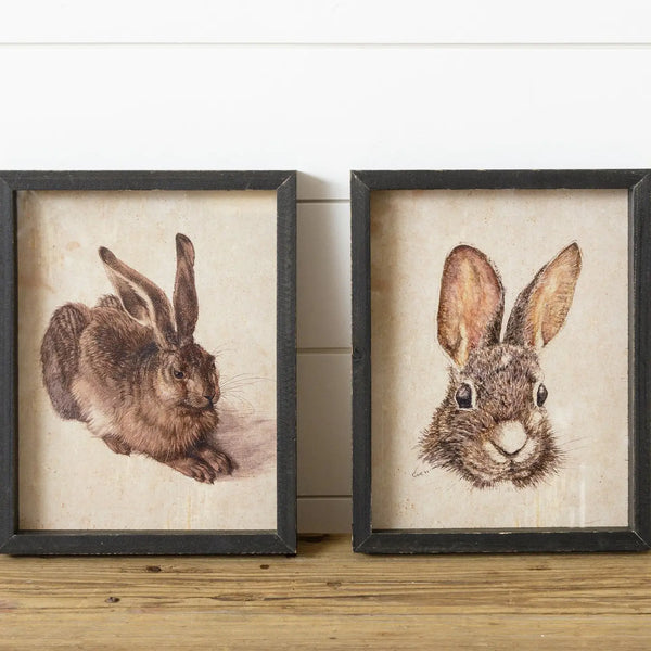 Framed Rabbit Prints - Set Of Two