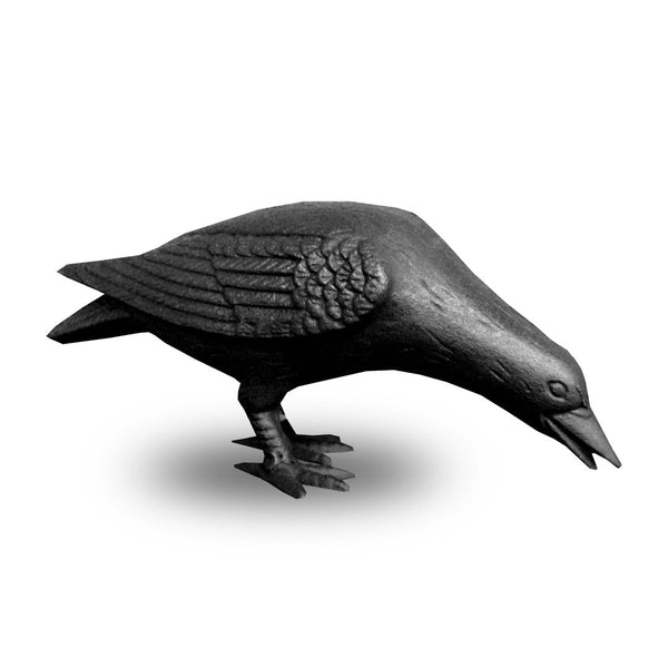 Cast Iron Crow