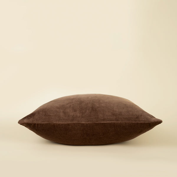 Vera Luxe Velvet Pillow - Clove 20x20
