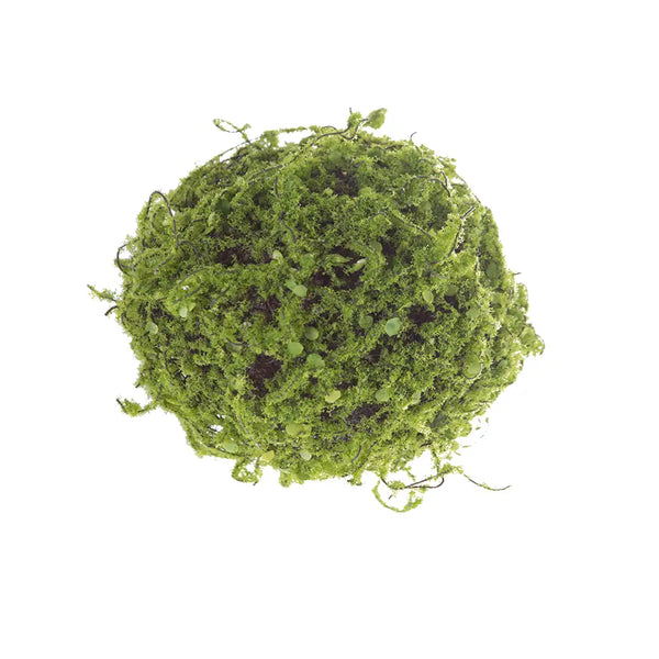 Mossy Twig Ball - 5"