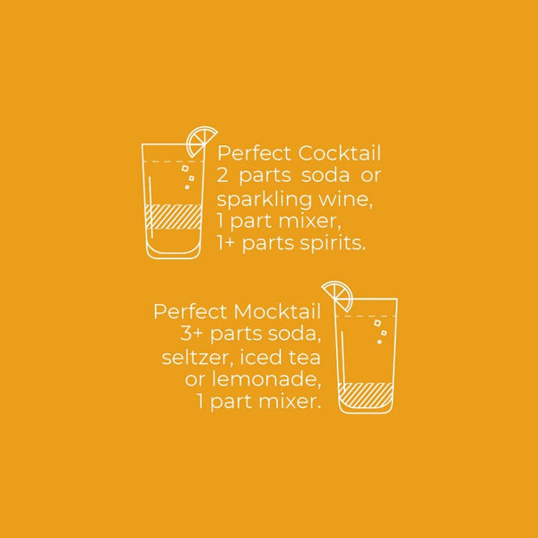 Moscow Mule Cocktail & Mocktail Mixer