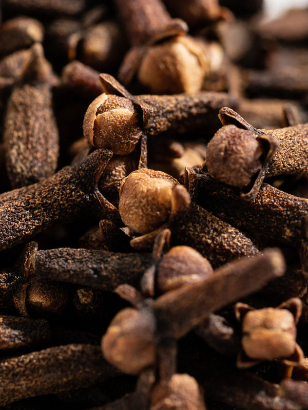 Becki Owens Caramel + Cove