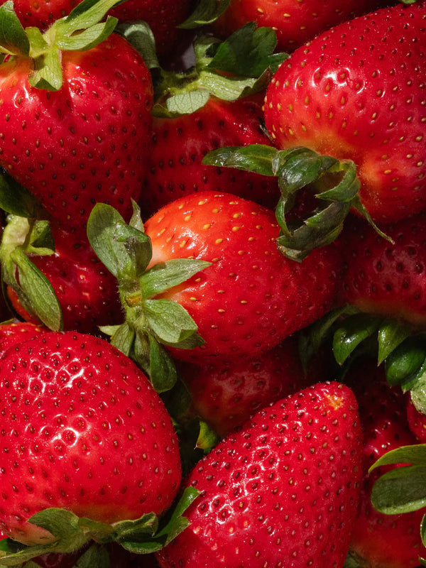 Votivo - Pink Mimosa