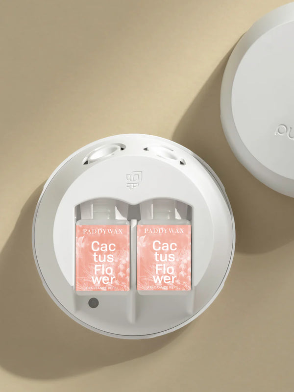 PADDYWAX Cactus Flower