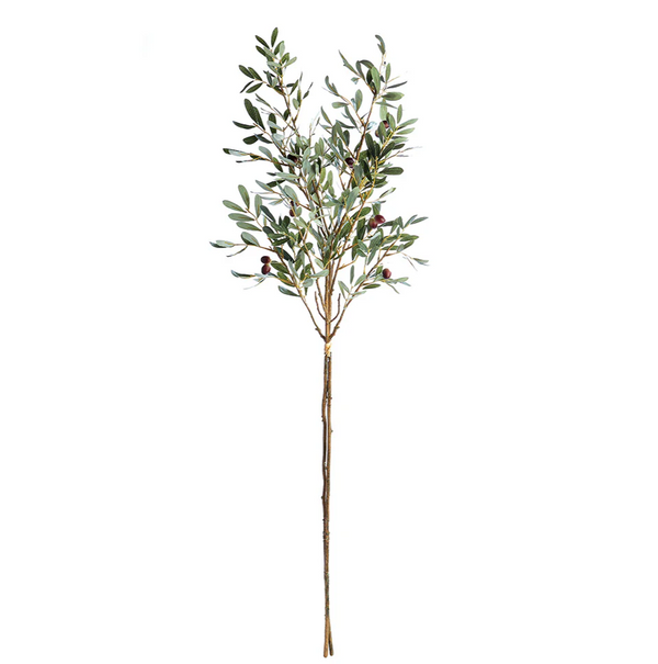 Olive Branches - Bundle Of Two