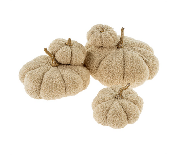 Boucle Pumpkin