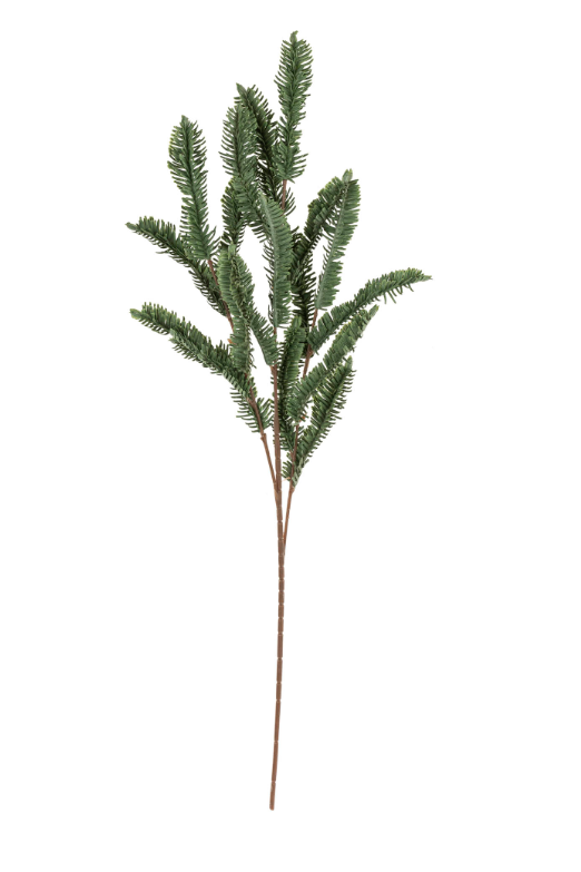 Pine Sprig