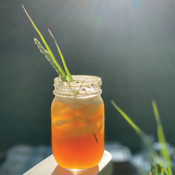 1pt Occasion Pack - Backyard BBQ