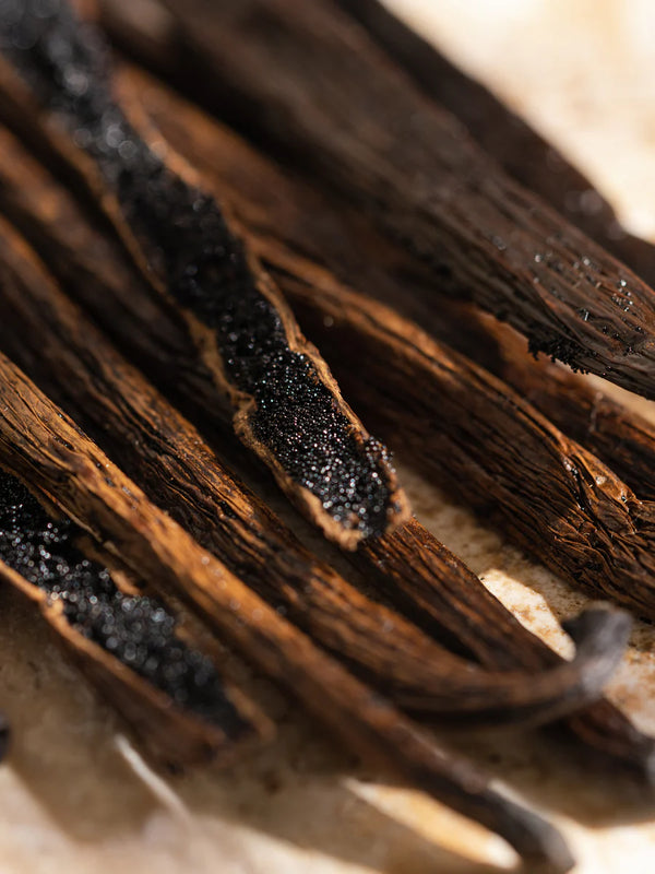 homesick Home Office