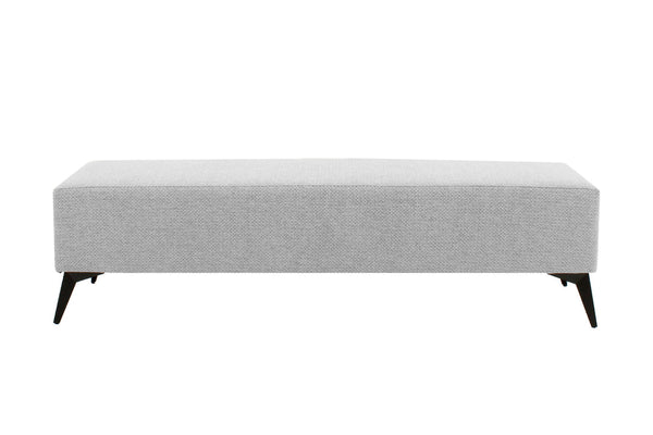 The Asher Bench