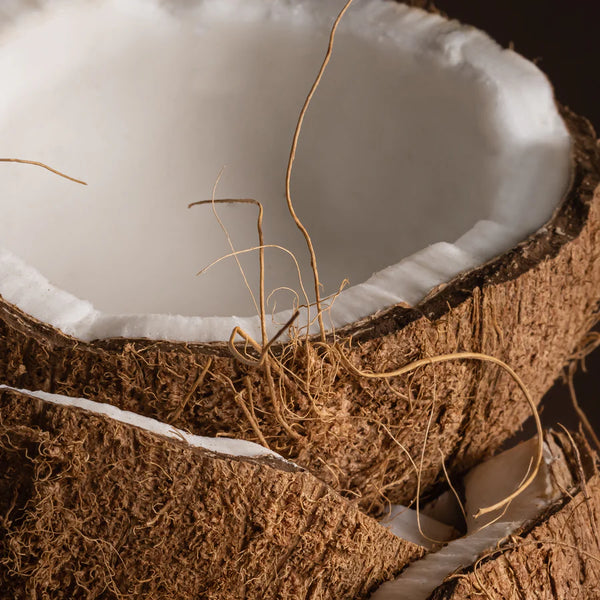 Becki Owens Coconut Calm