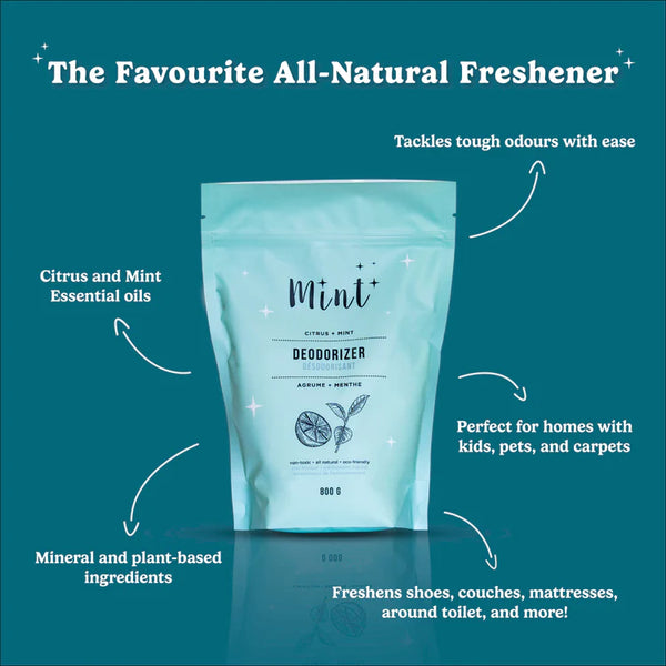 Deodorizer - Bag