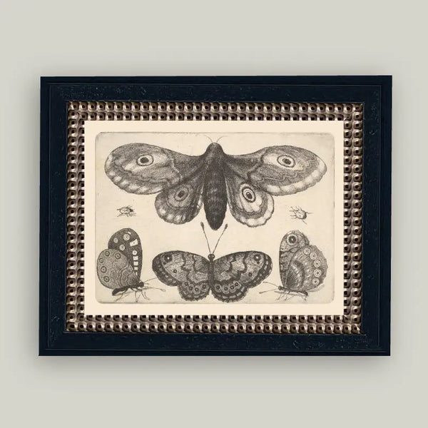 Insects Antique Framed Art