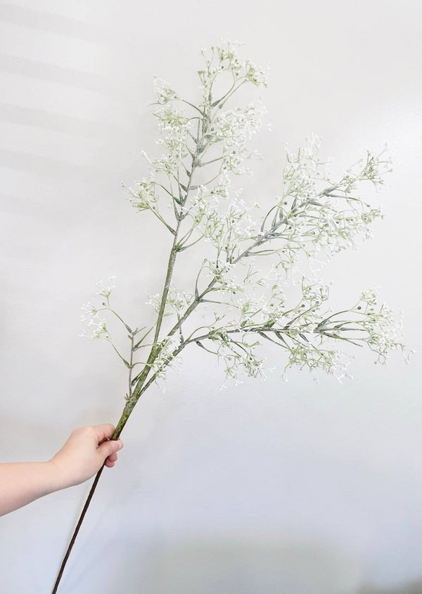 Frosted Seeded Stems
