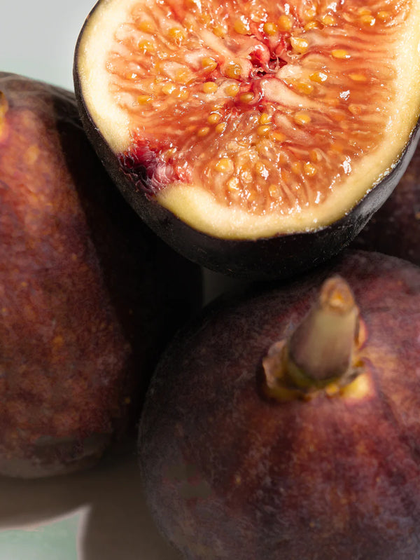 Brooklyn Candle Studio Santorini