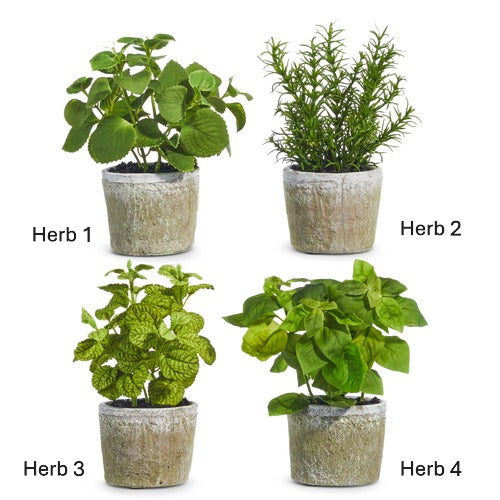 Potted Herb