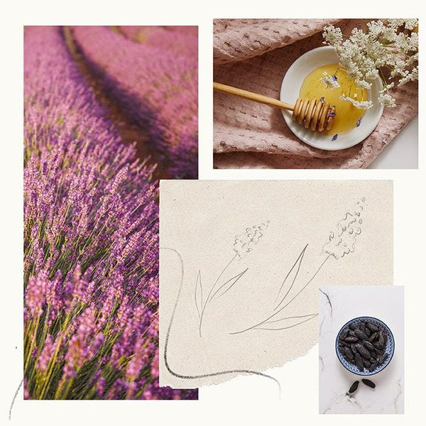 Lavender Honey Hand Wash Refill