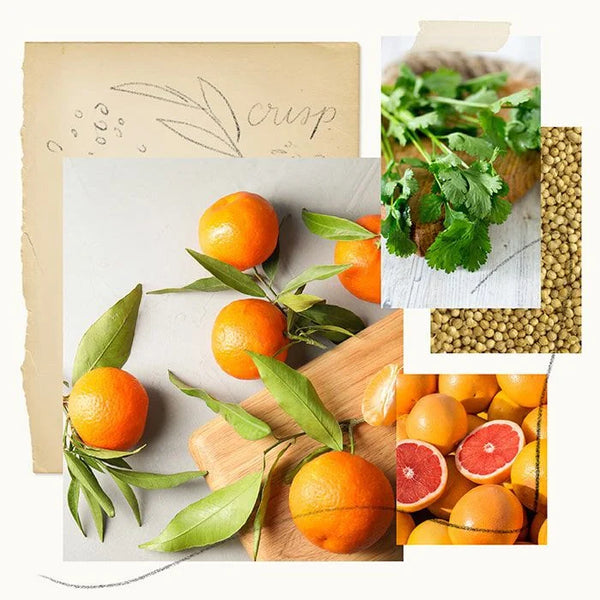 Mandarin Coriander Hand Wash Refill