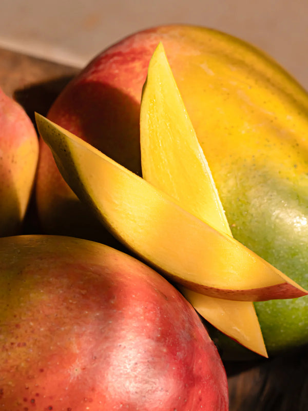 Moodcast Fragrance Co. Beach Vacay