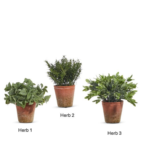 Soft Touch Potted Herb