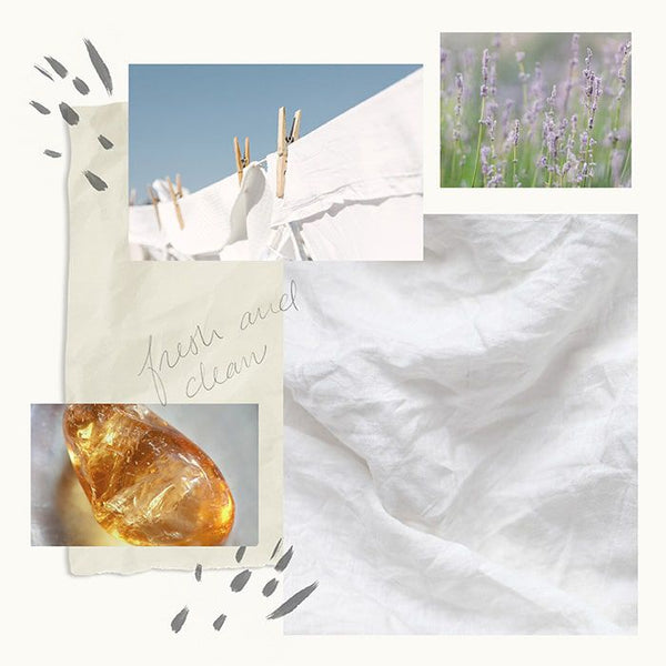 Washed Linen Dishwashing Liquid