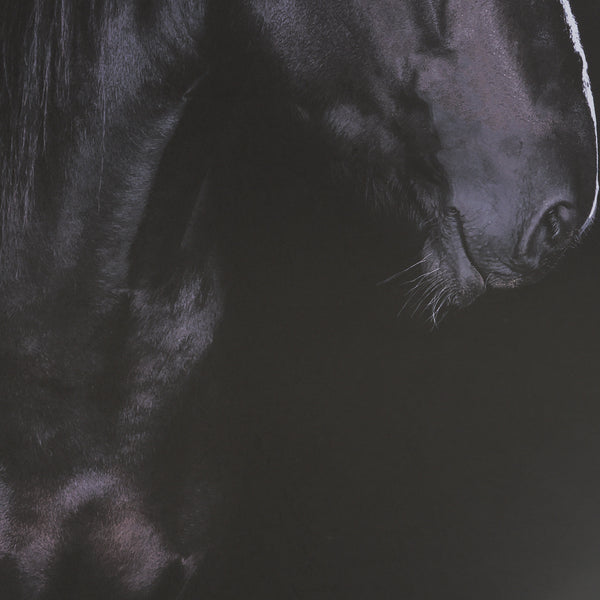 Majestic Midnight Framed Print