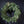 White Plum Berry Norfolk Cypress Real Touch Wreath - 34