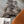Mineral Icelandic Sheepskin Throw Rug