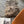 Taupe Icelandic Sheepskin Throw Rug