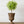 Mini Iron Urn