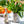 Giulietta Utensil Holder - Black