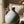 Ceramic Jug Vase - Delphi