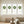 Norfolk Pine Wreath