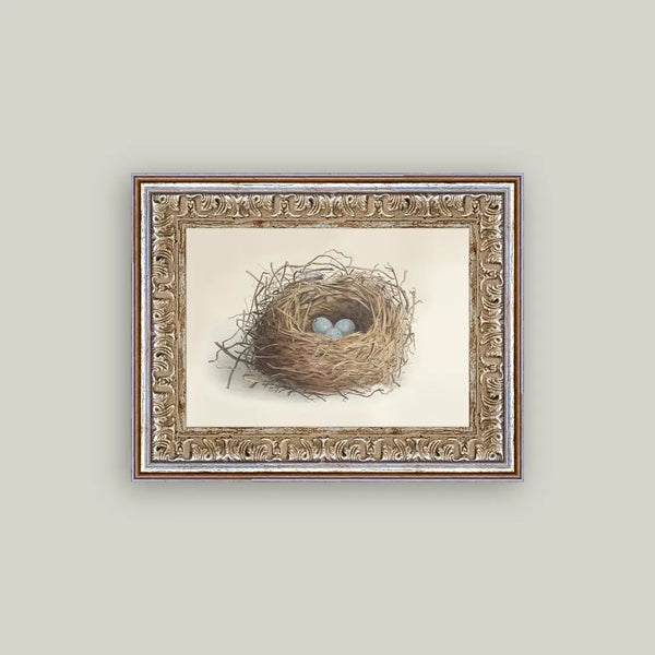 Eggs In Nest Antique Framed Art